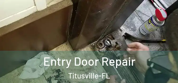  Entry Door Repair Titusville-FL
