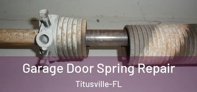 Garage Door Spring Repair Titusville-FL